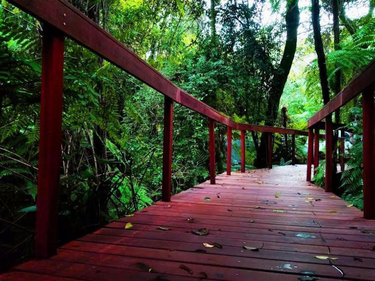 Deck 1920 - Bangalôs Deluxe - Zona Rural  Cascavel  Buitenkant foto